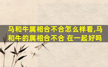 马和牛属相合不合怎么样看,马和牛的属相合不合 在一起好吗